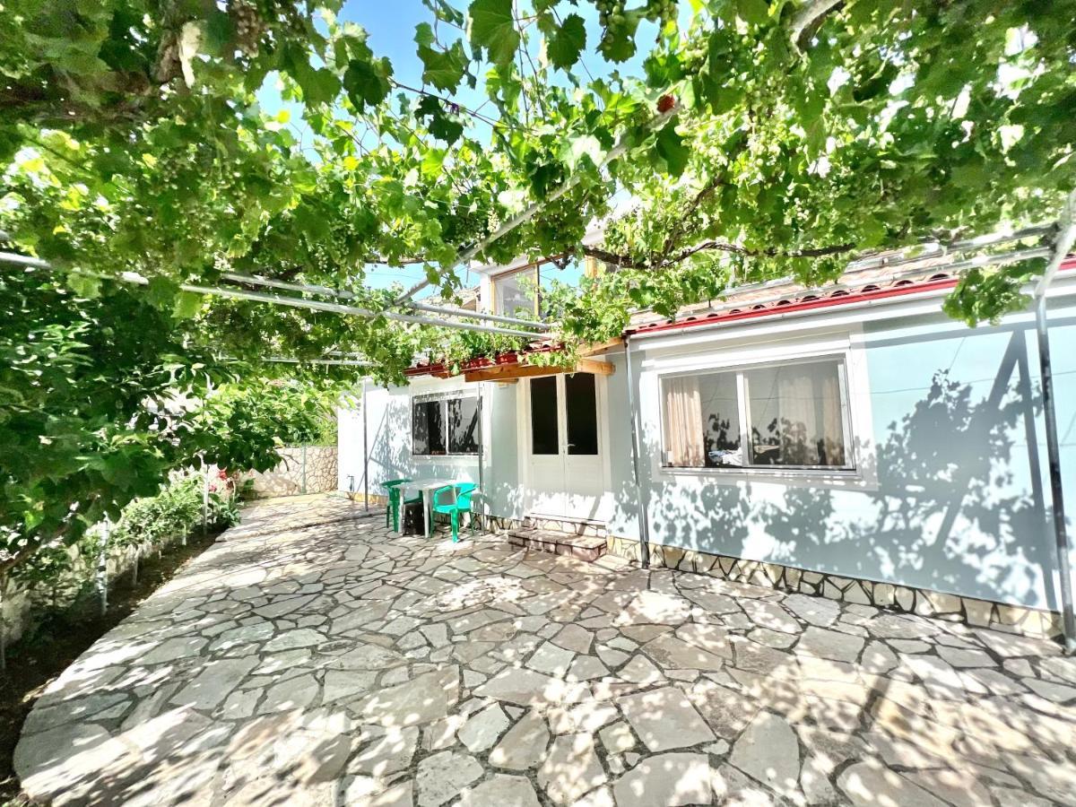 Coral Guesthouse סרנדה מראה חיצוני תמונה