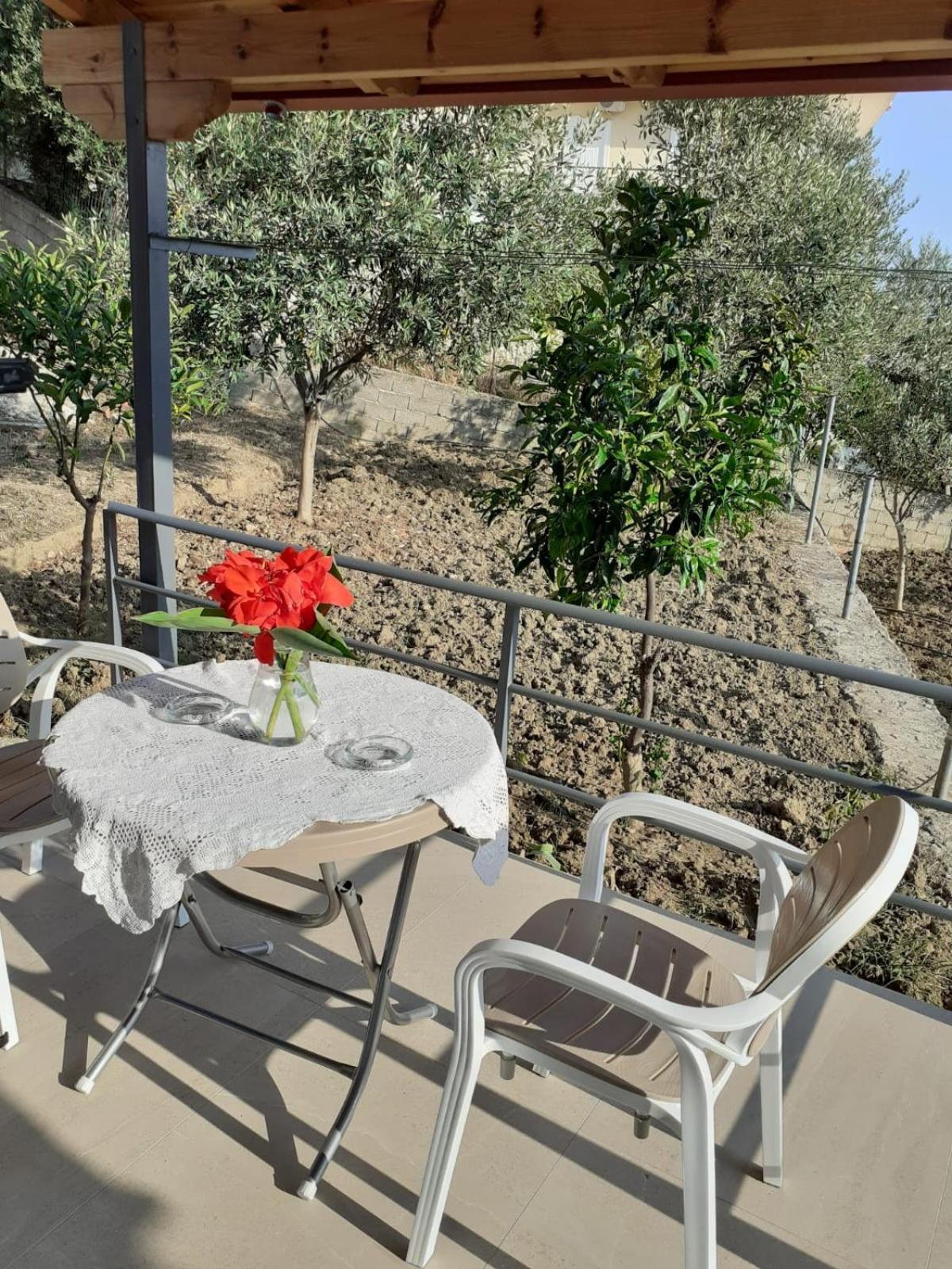 Coral Guesthouse סרנדה מראה חיצוני תמונה